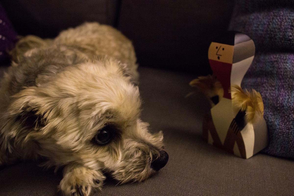 创意安博网页版 - 附件|饰品|办公安博网页版|安博anbo（中国）安博网页版|木娃娃 No.9-12